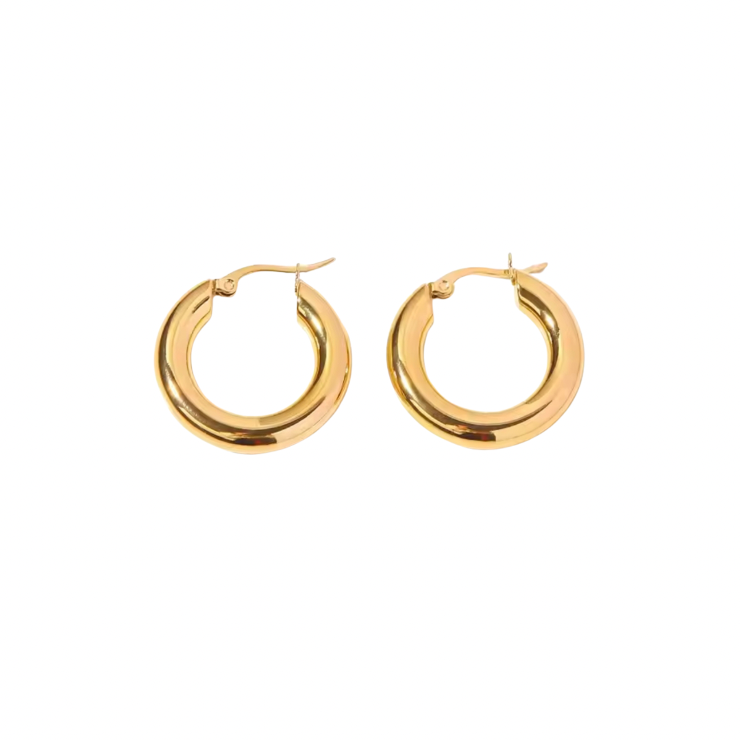 Aria Hoops (Gold & Silver)