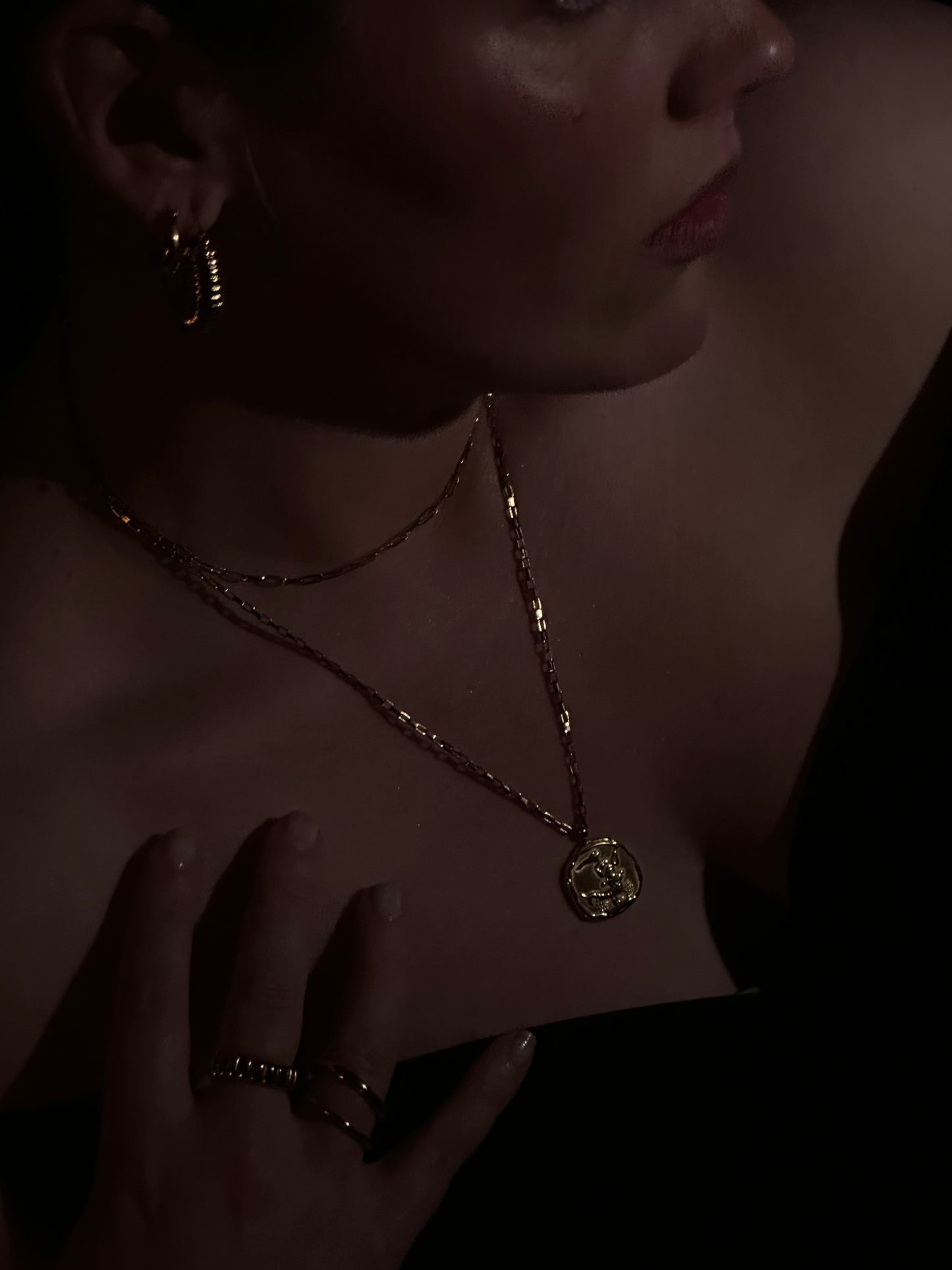 Zodiac Coin Necklace